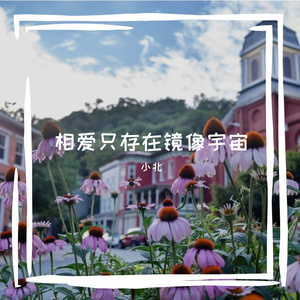 相爱只存在镜像宇宙