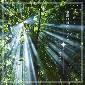 木漏れ日のグレイス