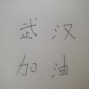 武汉挺住加油单人版