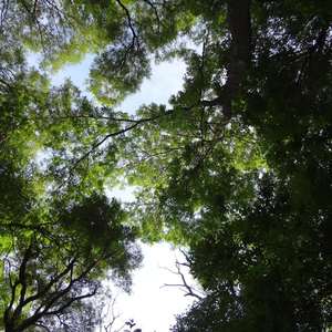 可能是我们真的老了