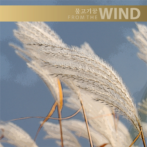 조용한하루의일기