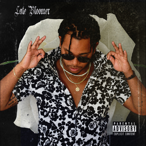 Floahs Ark (feat. Kwaliti & CHEFWITHDALEFT)