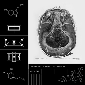 Overload (feat. Mardyny)