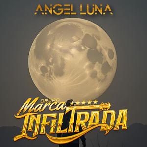 Angel Luna (tololoche) (live)