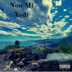 Non Mi Vedi