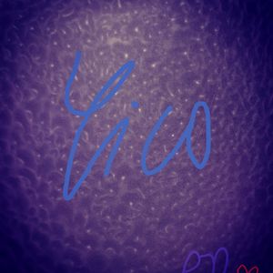 Lonely（翻自 Justin Bieber）