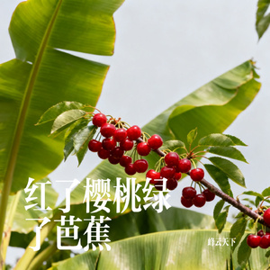 红了樱桃绿了芭蕉