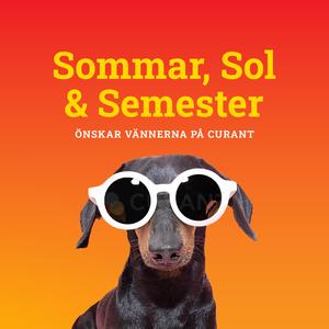 Sommar, Sol & Semester