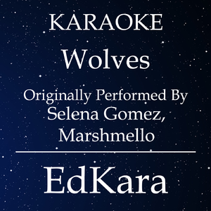 Wolves (Originally Performed by Selena Gomez, Marshmello Karaoke ) [Karaoke No Guide Melody Version]