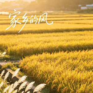 家乡的风