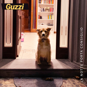 La notte porta consiglio