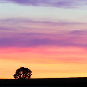 The Summer Twilight - Track.01