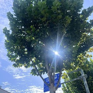 恋爱中的安全感危机