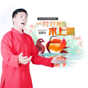 一对对鸳鸯水上飘