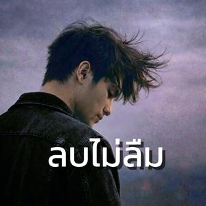 ลบไม่ลืม