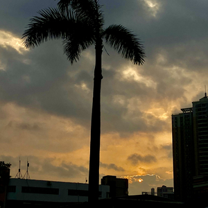 慢慢喜欢你（翻唱）