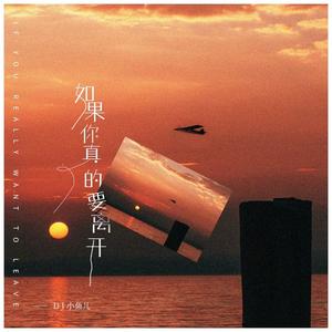 如果你真的要离开