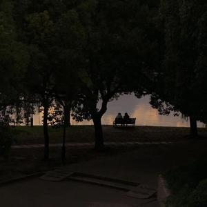 “爱 意 随 风 去”