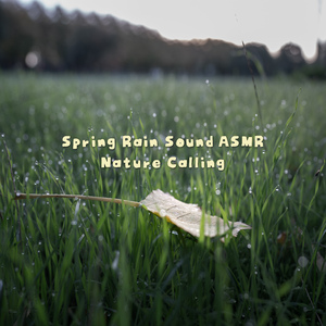 수면유도 자연의 소리