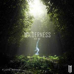 Wilderness (feat. KC) [FLOTE Remix]