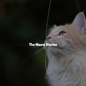 Bubbly Backdrops for Morning Boosters