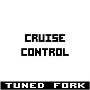 Polyphonic (feat. Rajagopal Srinath)