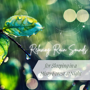 Reduce the Consequences of Insomnia