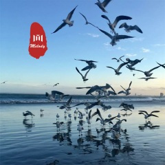 异域女唱 (DJ版)