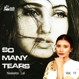 Menon Saun Ni Dendi