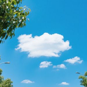 守望思念的心声