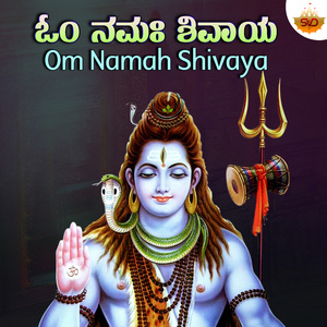 Om Namah Shivaya