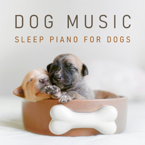 田园风光 (夜晚虫鸣白噪音)