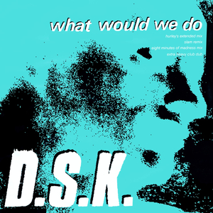 What Would We Do (Eight Minutes of Madness Mix)