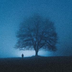 Quiet Signal