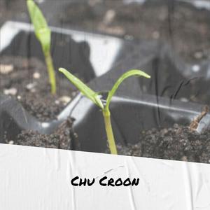 Whoever Congregation