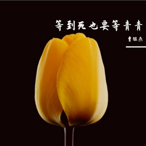 等到死也要等青青