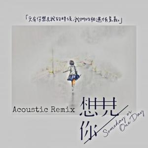 想见你x3 (Acoustic Remix)