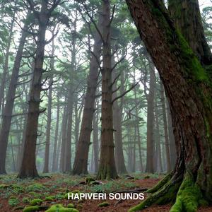 Shaded Grove Reverie