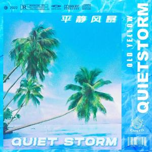 Quiet Storm