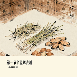 第一节辛温解表剂