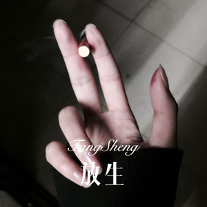 遇见旗袍 (Remix)