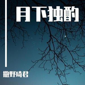 月下独酌(Live)（翻自 毛不易 廖峻涛）