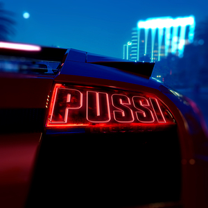 PUSSI