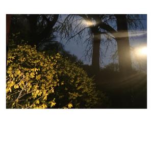 a weird hopeful feeling