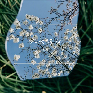 木头的心（Cover左颜）