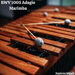 14 Canons (Ten) Marimba Edition