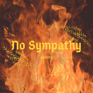 No Sympathy