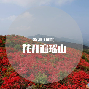 花开遍瑶山--Master 伴奏