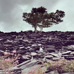 High on you (ECHLN Remix)