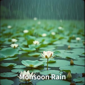 Monsoon Rain